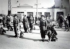 Oran- SDV- 6043